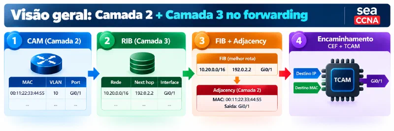 Visión general del forwarding en redes Resumen de CAM, RIB, FIB, adjacency, CEF y TCAM en el proceso de forwarding