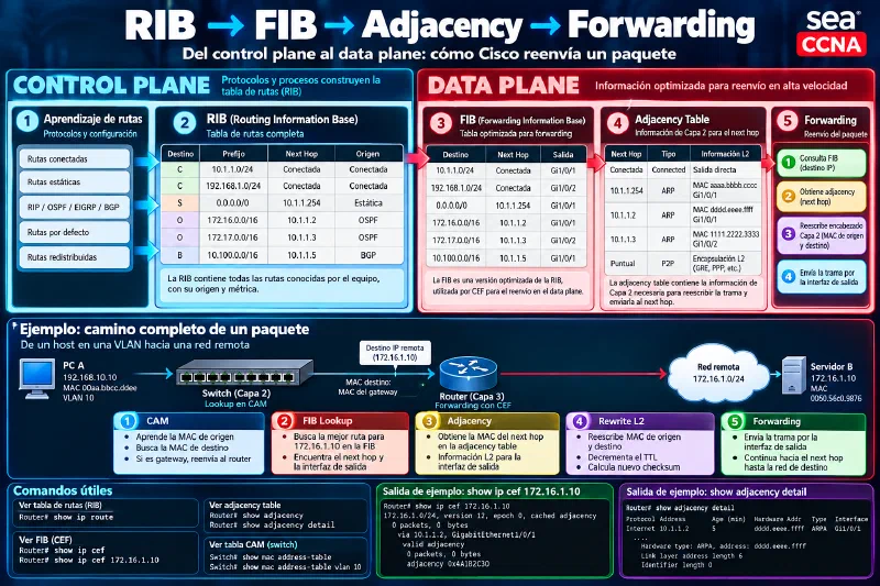 RIB, FIB, adjacency y forwarding en Cisco Flujo RIB, FIB, adjacency y forwarding en Cisco