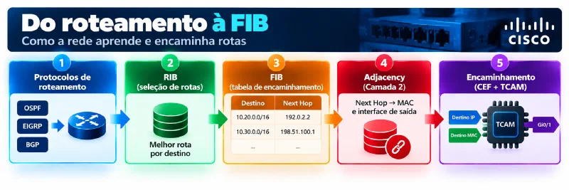 De routing a FIB: proceso de forwarding De los protocolos de routing a la RIB y la FIB para el forwarding