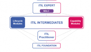 ITIL Practitioner